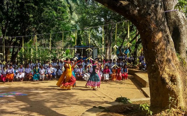 තෛපොංගල් උත්සවය 2019